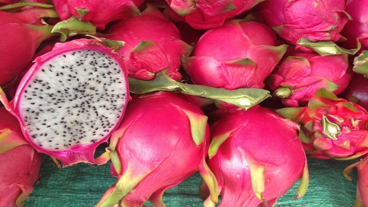 pitaya