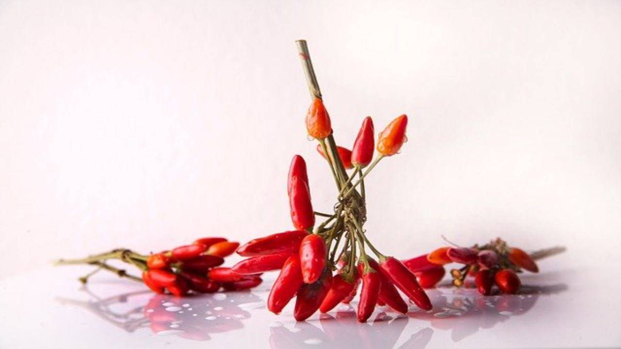 peperoncino piccante