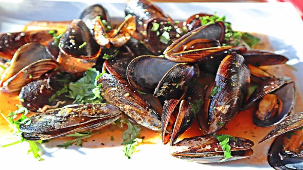 impepata cozze ricetta sughetto speciale