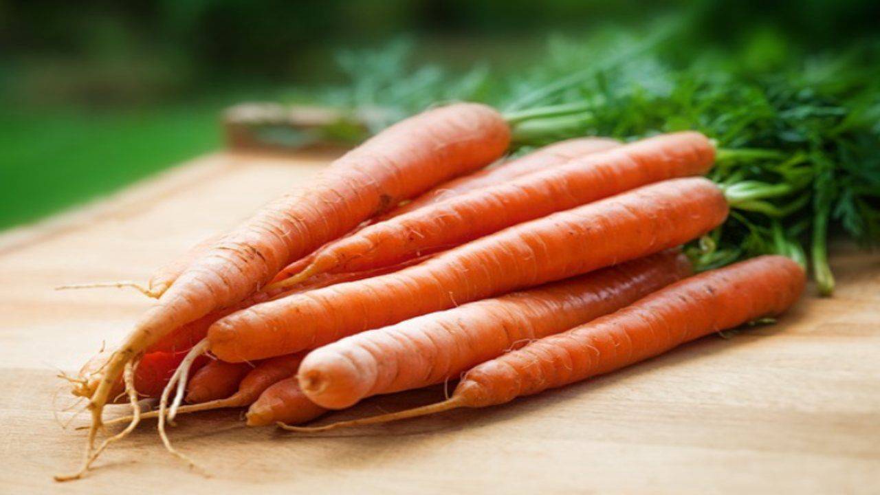 Carote su sfondo da tavolo, carote fresche e dolci per la cottura di  alimenti frutta e verdura per il concetto di salute, mazzo di carote e  foglie Foto stock - Alamy