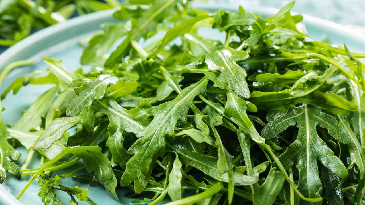 Rucola cosa succede corpo quando mangi