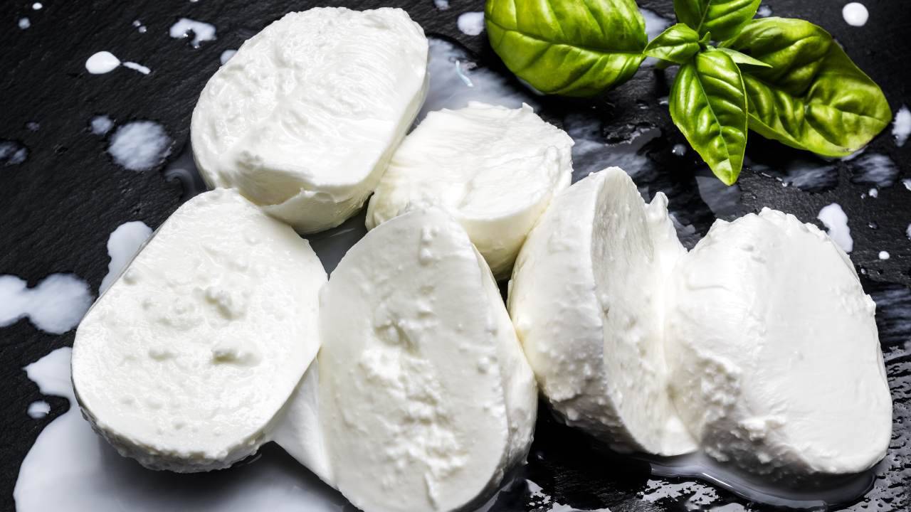 conservazione mozzarella