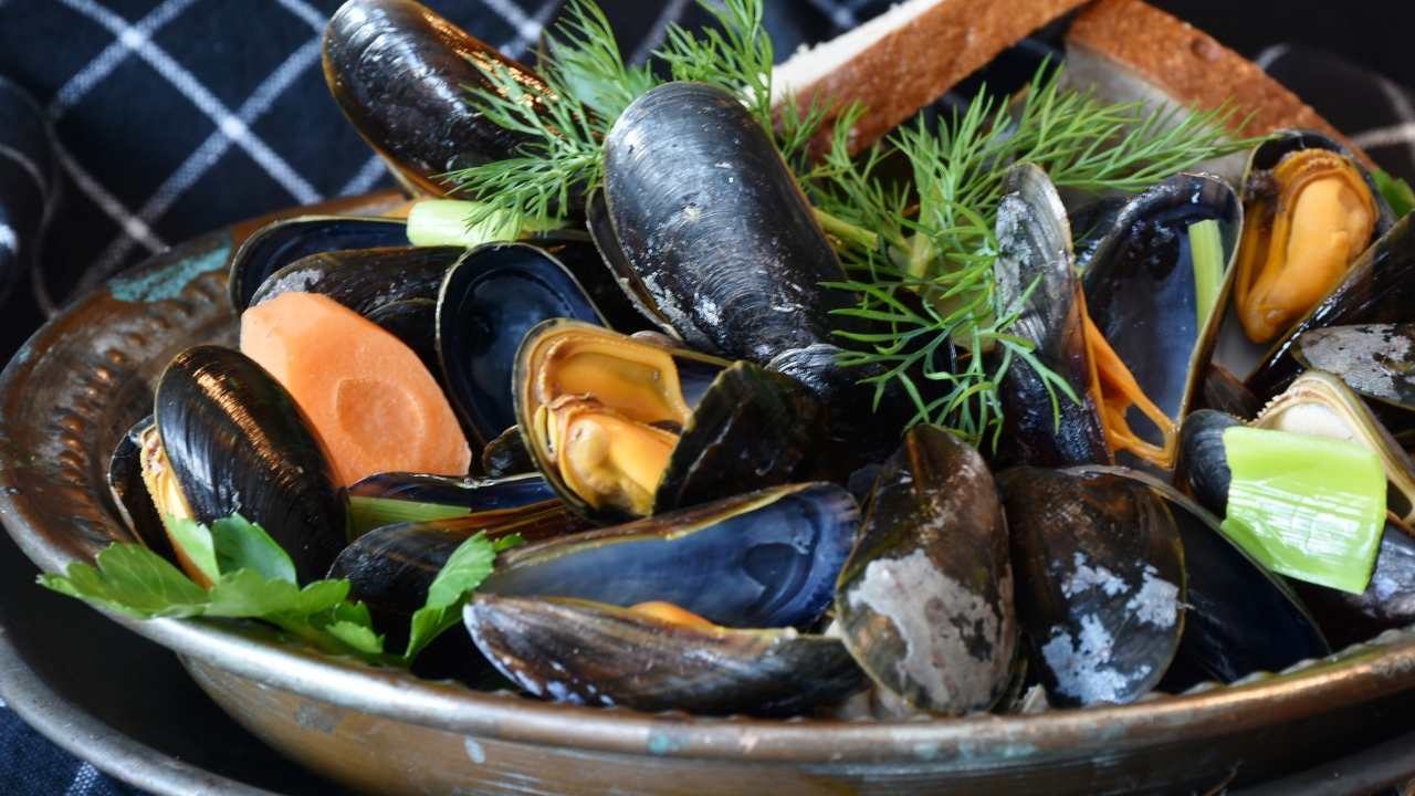 richiamo alimentare cozze