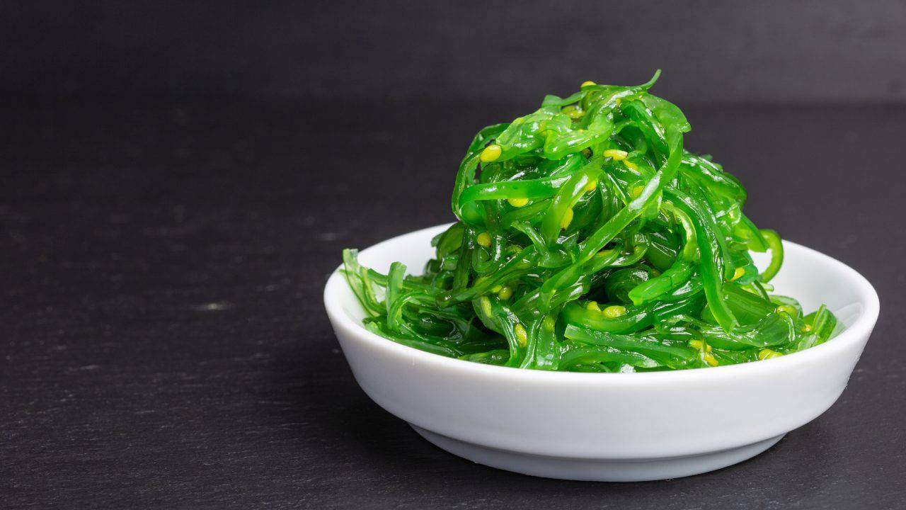 alga wakame