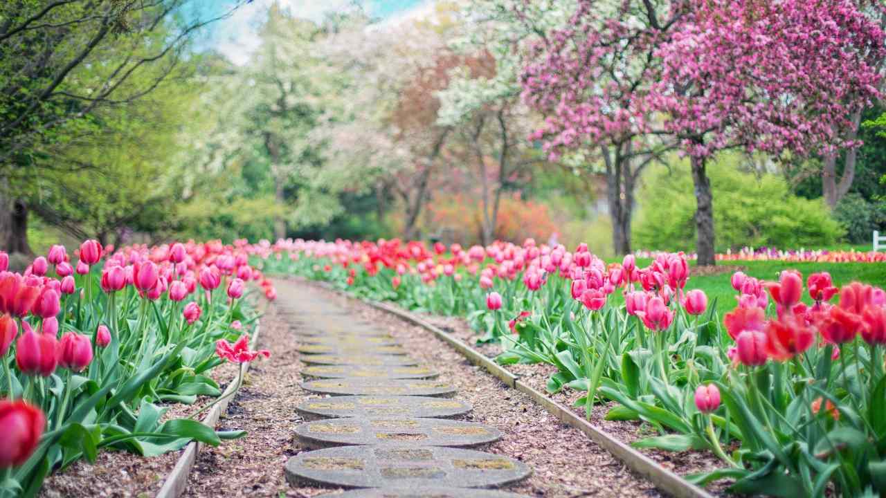 la rinascita della Primavera