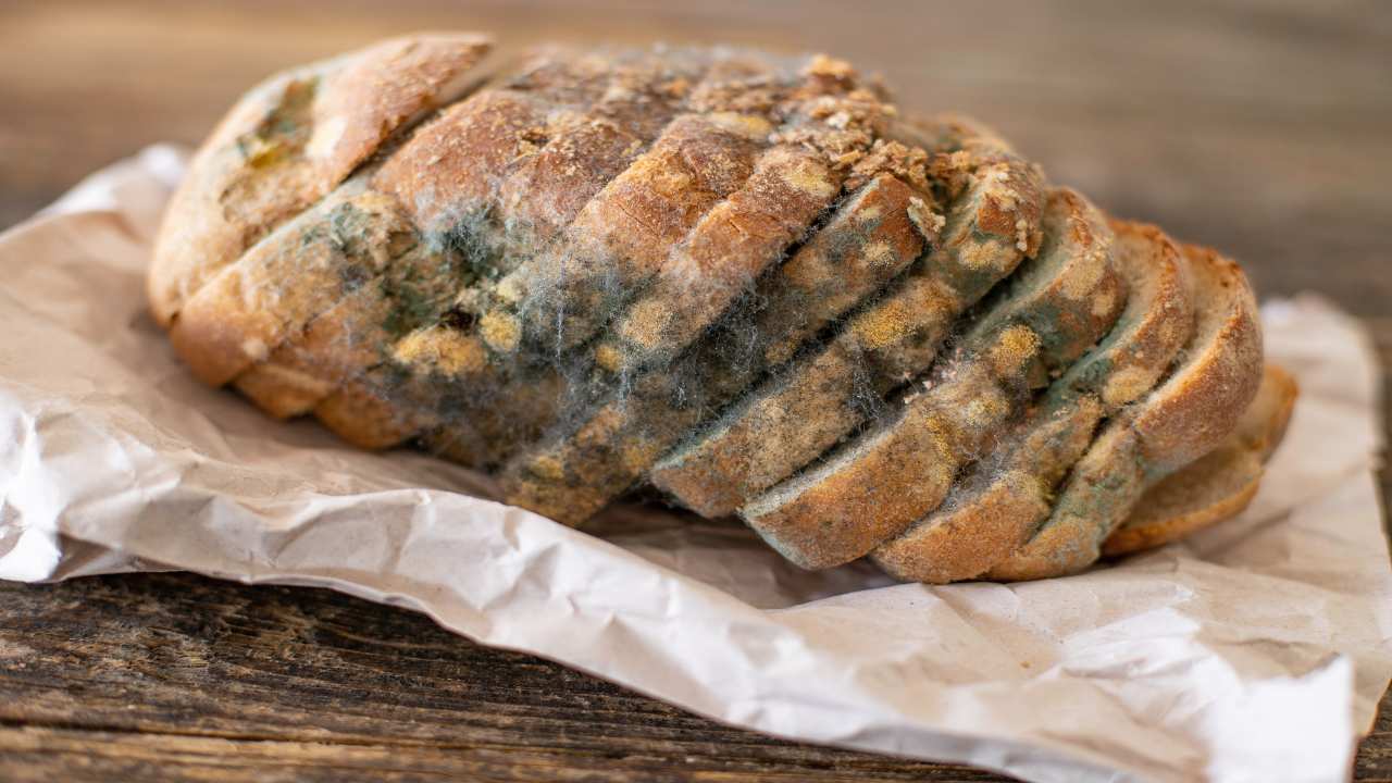 pane ammuffito perché pericoloso