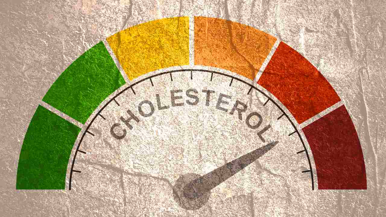 colesterolo alto alimenti proteine