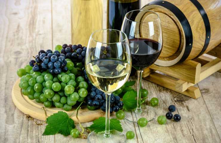 benessere metabolismo vino cura dimagrante