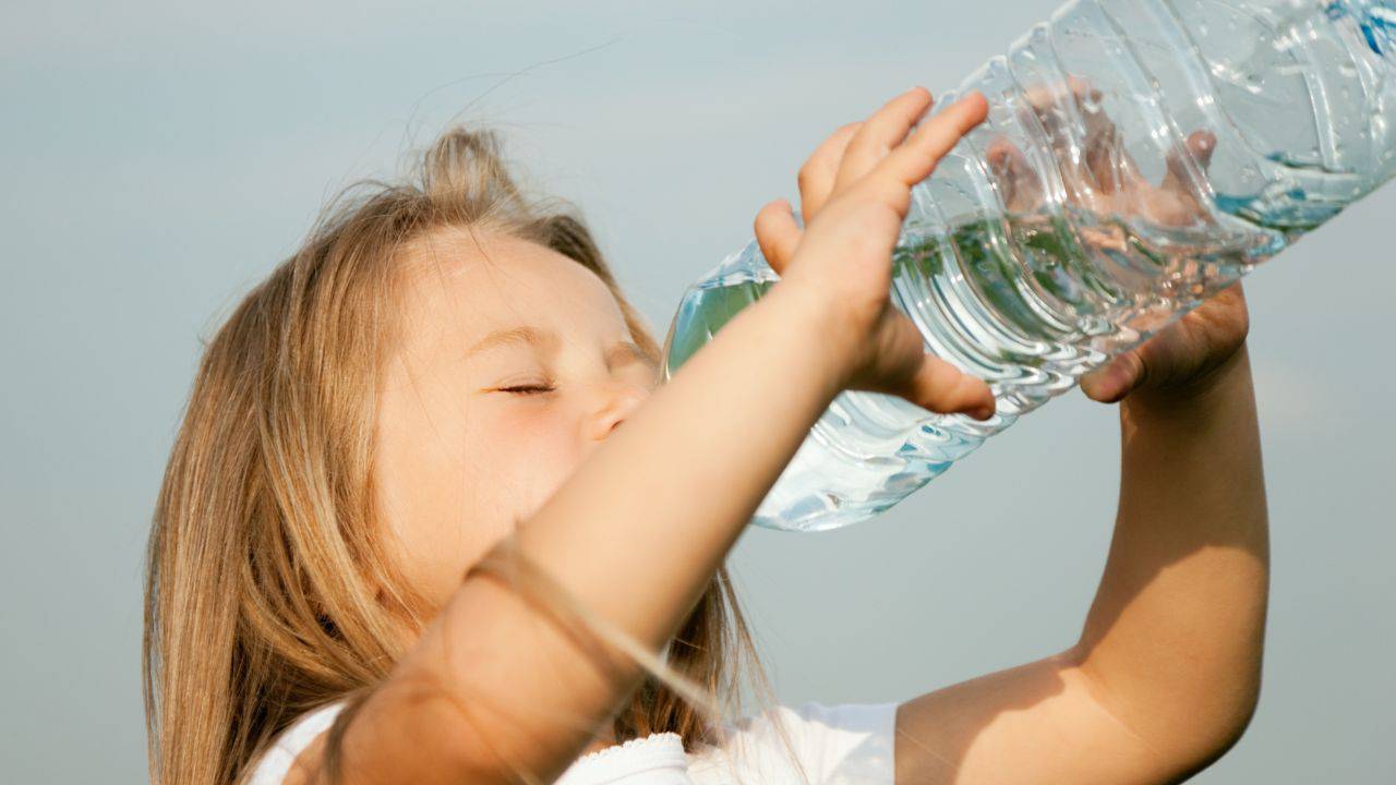 acqua bottiglia plastica nociva