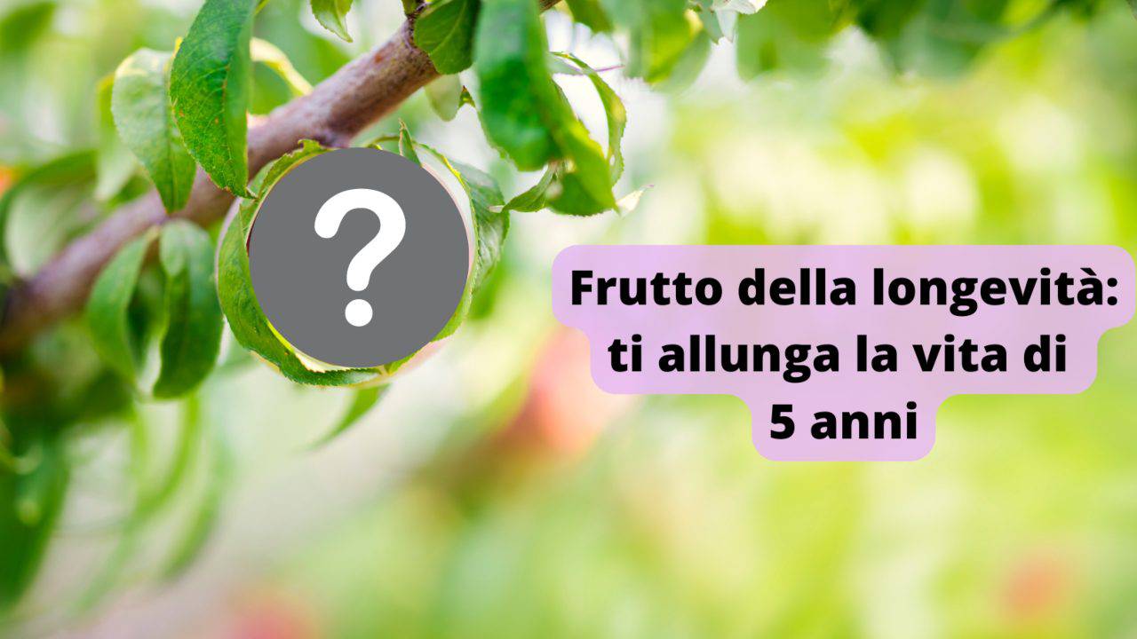 frutto longevità 5 anni vita più