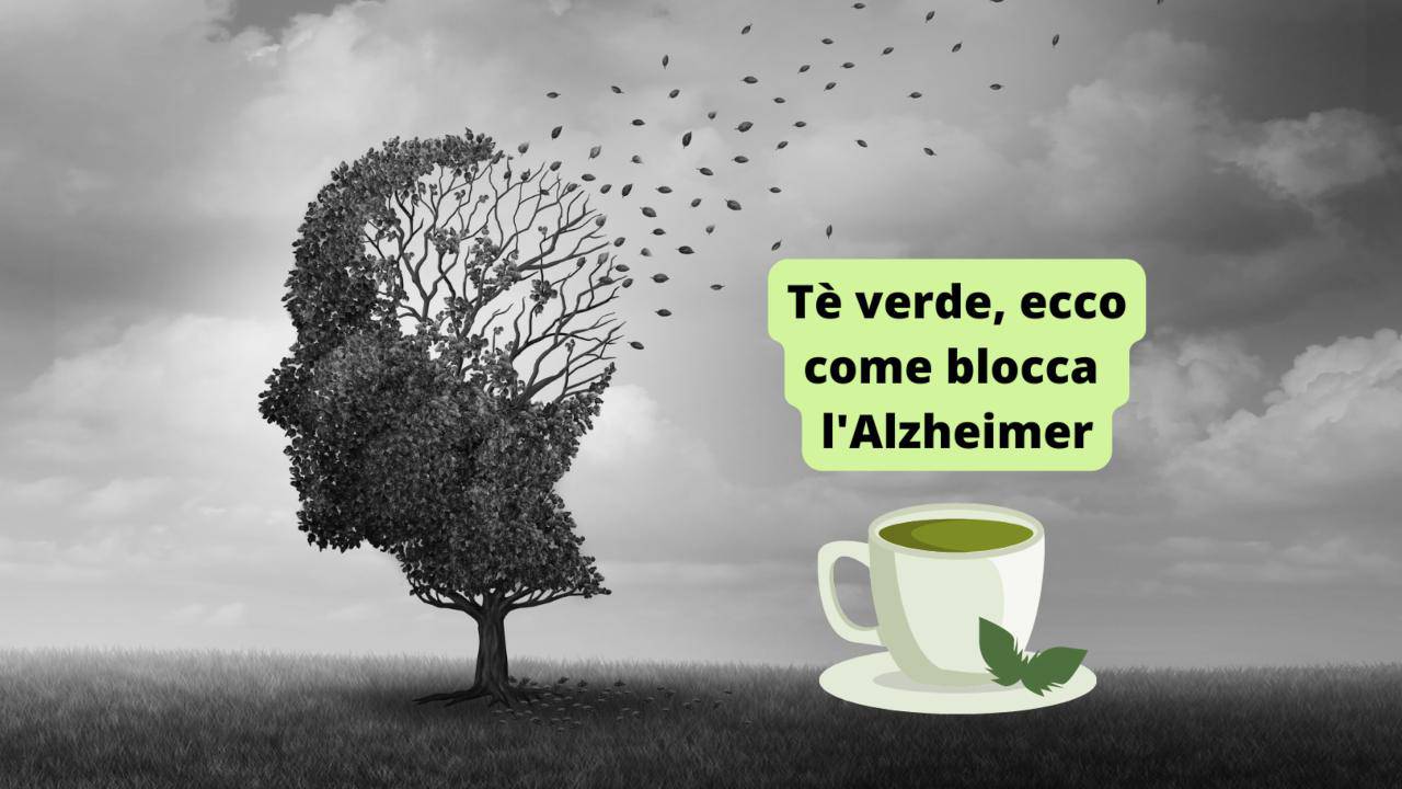 tè verde Alzheimer