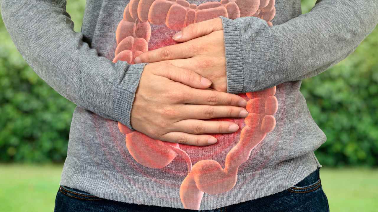 intestino infiammato alimenti da evitare