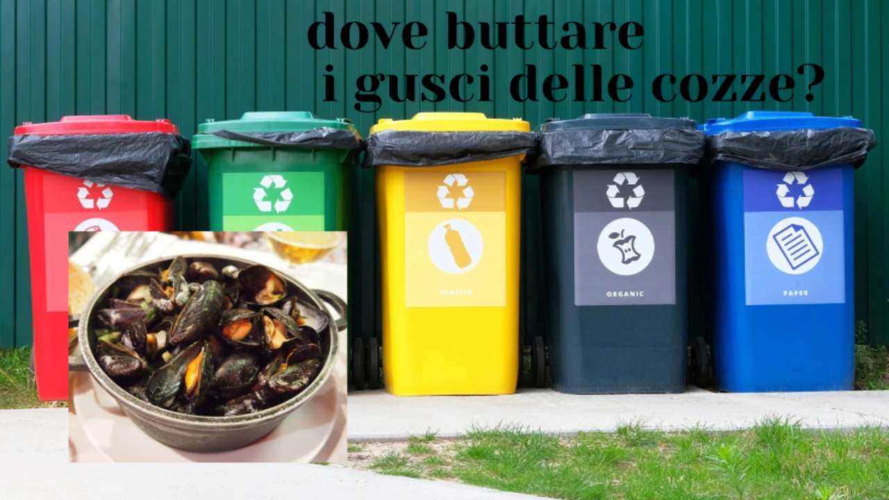 dove buttare gusci cozze