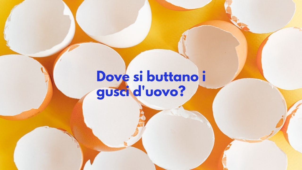 Dove si buttano i gusci delle uova?