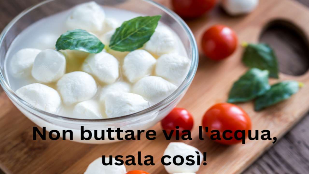 acqua mozzarella riutilizzi