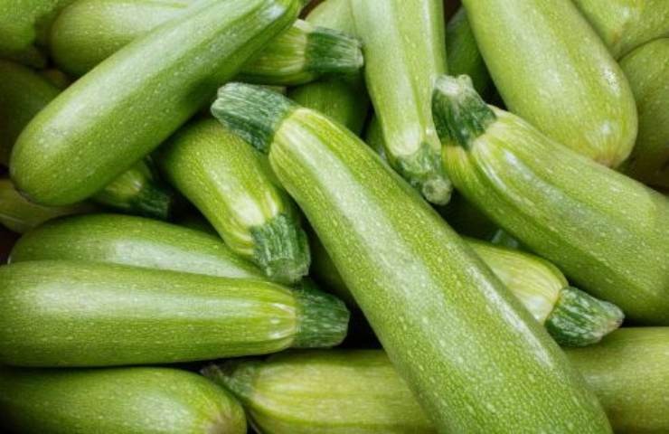 spiedini zucchine crescenza 