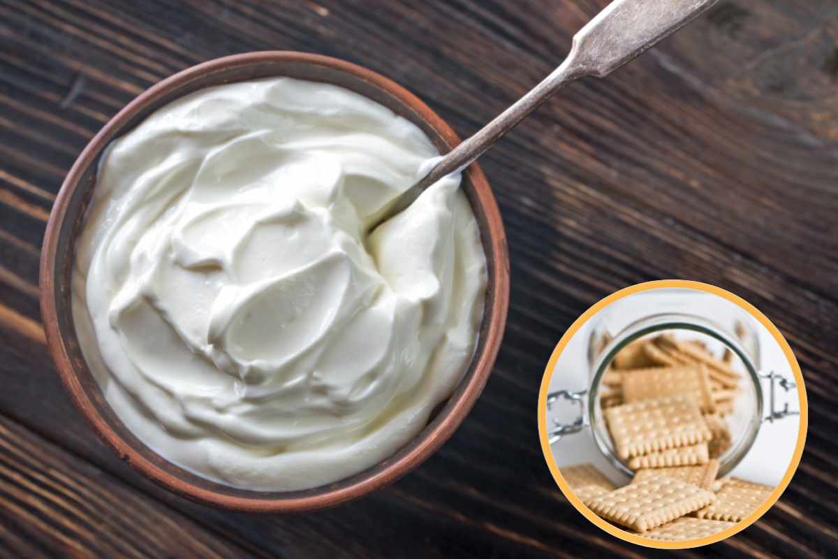 vasetto di Yogurt e biscotti