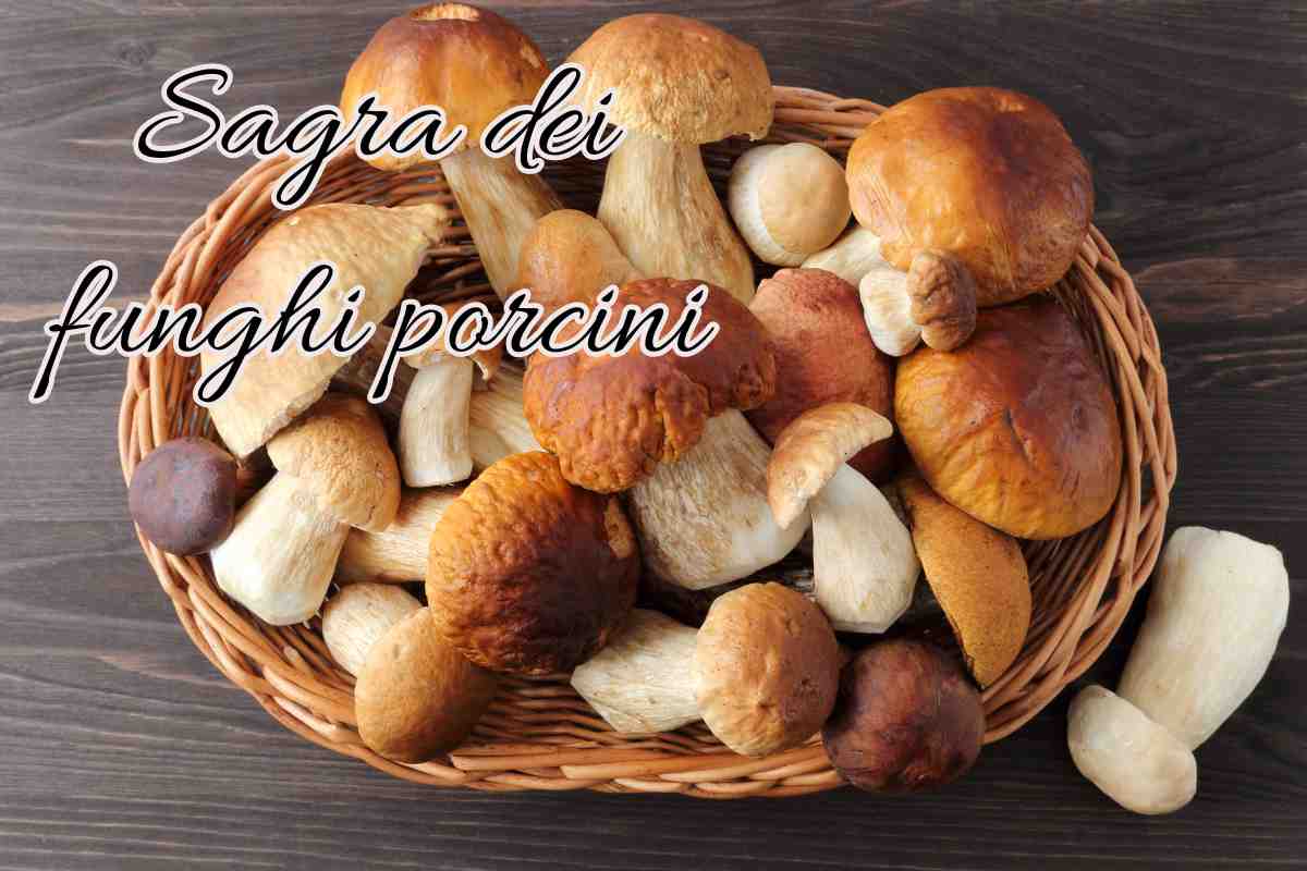 sagra dei funghi porcini